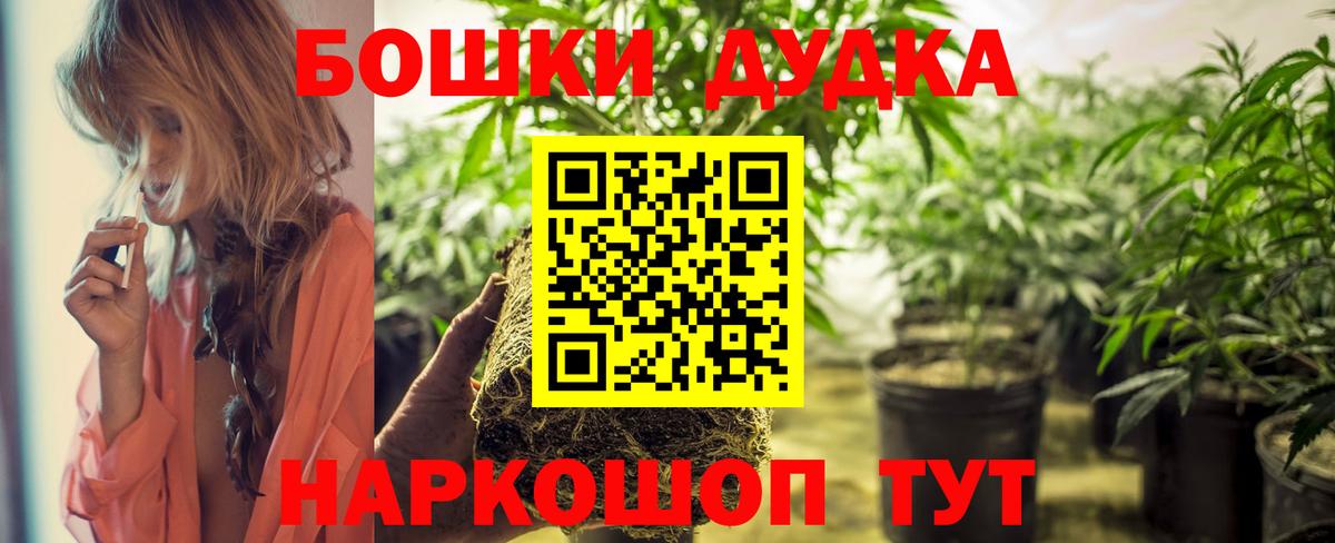 Шишки марихуана планчик Балашиха